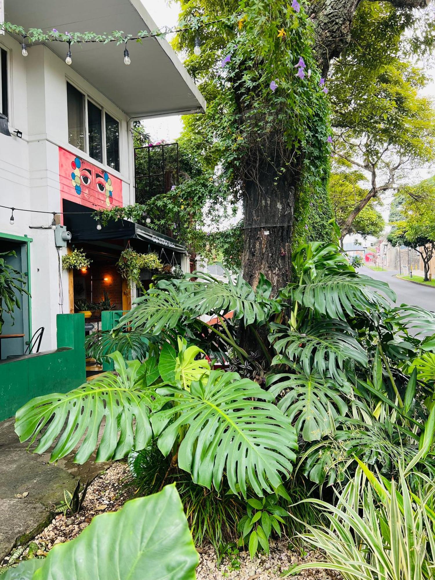 Otoya 1907 Hotel (Adults Only) 산호세 외부 사진
